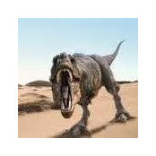Mark Reasbeck's photo