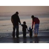 Rebecca Wayne's photo