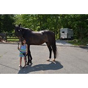 Laurie Zagula-Schell's photo
