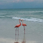 Galya DeLong's photo