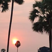 Luna Liu's photo