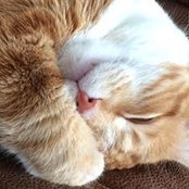 Sandra Ingram-Marshall's photo