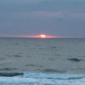 Cynthia Barber's photo