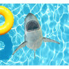 Slick Woody's 60" Shark Teeth Vinyl Underwater Pool Mat Tattoo in Gray