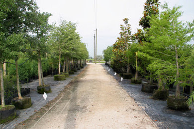 Our Tree Work