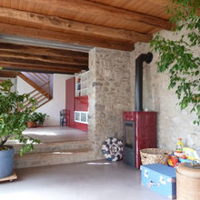 piante