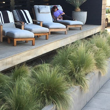 Landscape Ideas