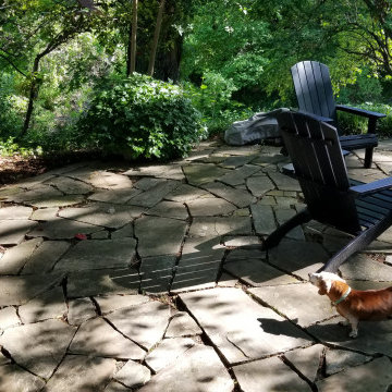 Creek Bed Backyard