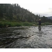 Tara Dicken's photo