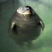Larisa Maskova's photo