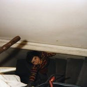 Naomi Fleischer's photo