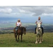 Brenda Mitchell's photo