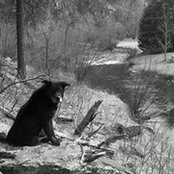Cody Schad's photo