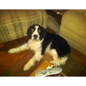 Valerie Wharton-Todd's photo