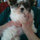 maureen_escott