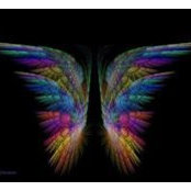 Collette Schultz's photo