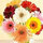 jennifer_sellers86