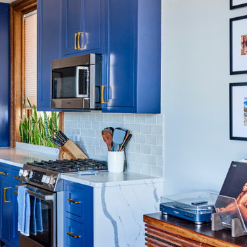 Condo Remodel - Lakeview West, Chicago, IL