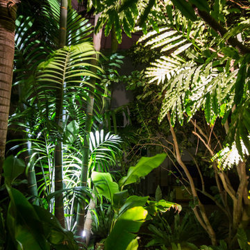 South Florida Sandy Hammock and Grass Yard in Delray Beach