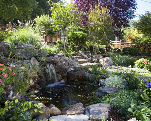 Plants Around Ponds | Houzz