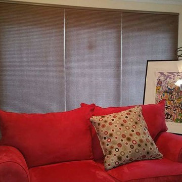 Pleated Shades