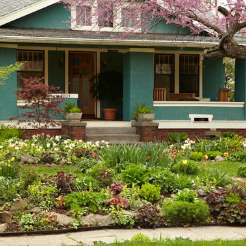 Venhaus Front Yard