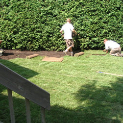 Sod Installation - Ottawa Landscapers - Bulbs And Seeds