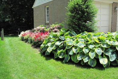 ワシントンD.C.にあるおしゃれな庭の写真