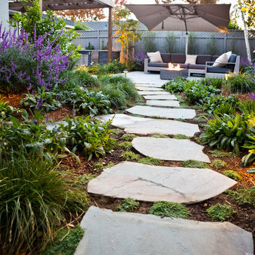 San Jose Modern