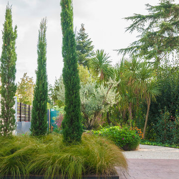 Vista de la entrada y las diferentes jardineras. En primer término cipreses y St