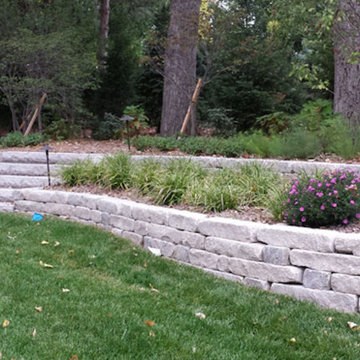 Landscape Gallery