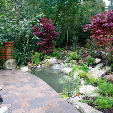 Pool and Pond Duo