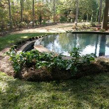Landscape Ideas