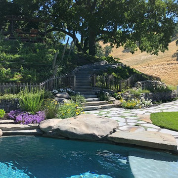 Danville hillside