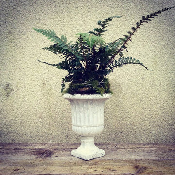 vignettes of various projects