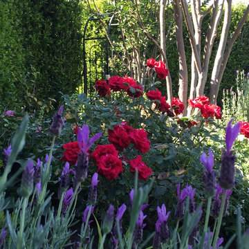 Cottage Garden Design