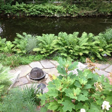Schantz Garden