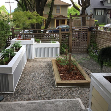 Raised Garden Boxes
