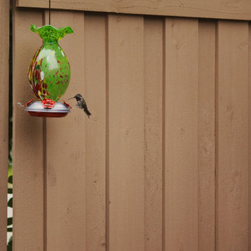 Small Backyard, Big Impact