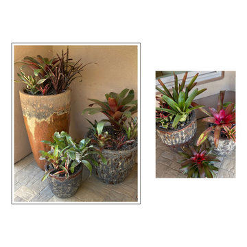 The Art of Planting
