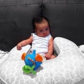 Navid Bahmani's photo