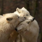 Corrie Haverley's photo