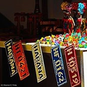 Shannon Finley's photo