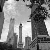 Sarah Taz's photo