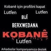 Ayten Onays billede