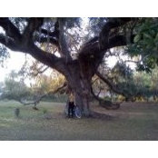 Justine Reisinger's photo