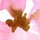 webuser_818931363