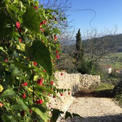 Marietta Socarras's photo