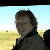 Paula Curtins foto
