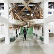 Mathias Prognon's photo